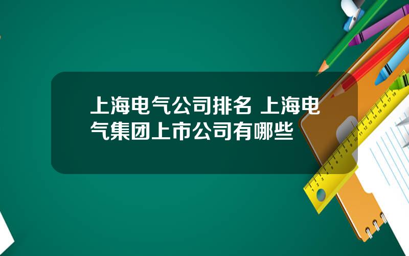 上海电气公司排名 上海电气集团上市公司有哪些